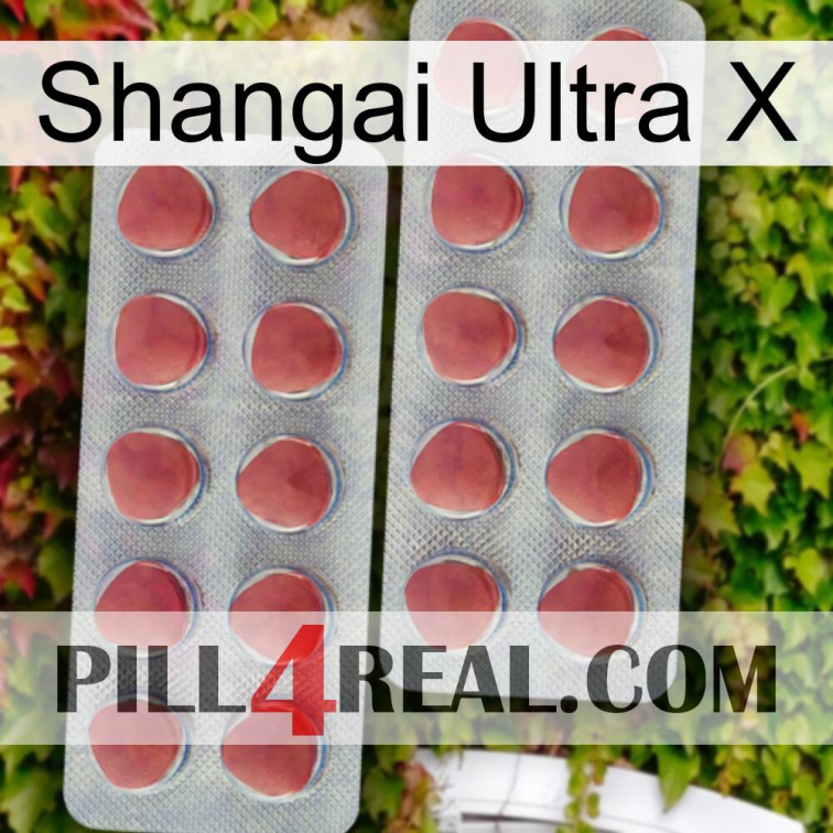Shangai Ultra X 19